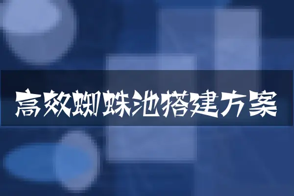高效蜘蛛池搭建方案