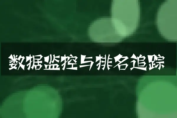 数据监控与排名追踪